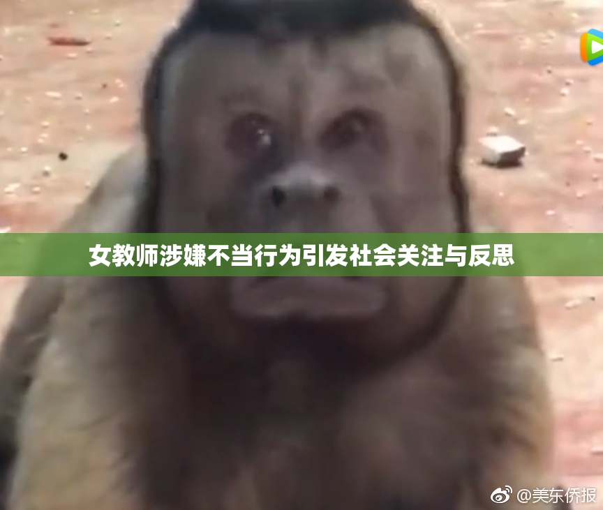 女教师涉嫌不当行为引发社会关注与反思
