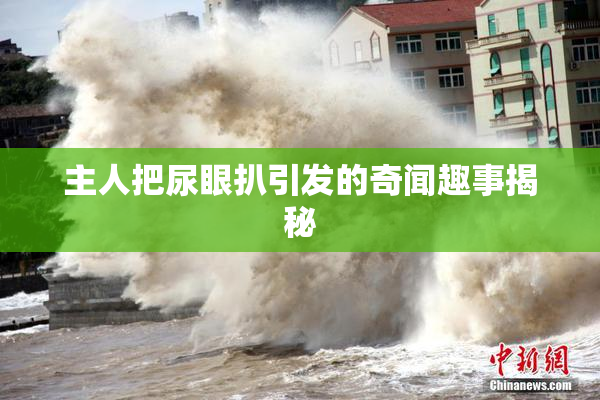主人把尿眼扒引发的奇闻趣事揭秘