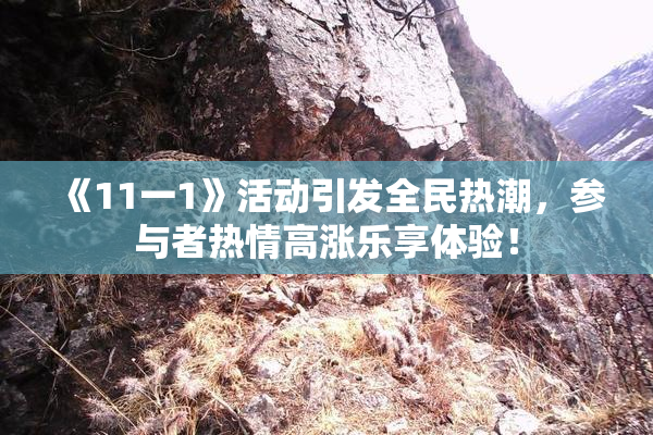 《11一1》活动引发全民热潮，参与者热情高涨乐享体验！