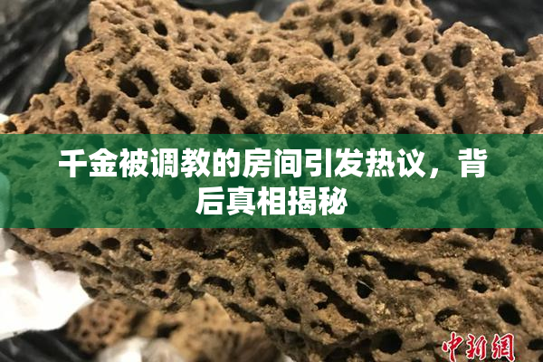 千金被调教的房间引发热议，背后真相揭秘