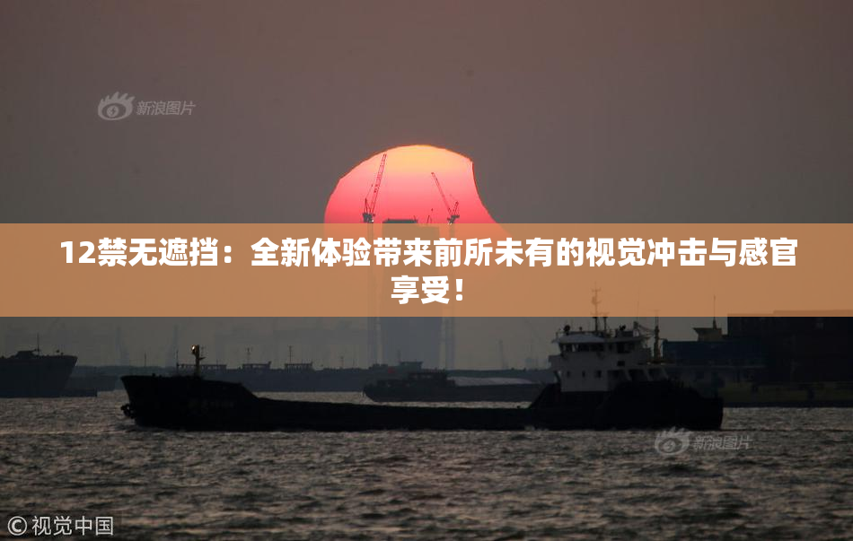 12禁无遮挡：全新体验带来前所未有的视觉冲击与感官享受！