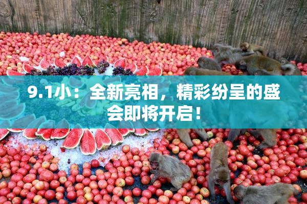 9.1小：全新亮相，精彩纷呈的盛会即将开启！