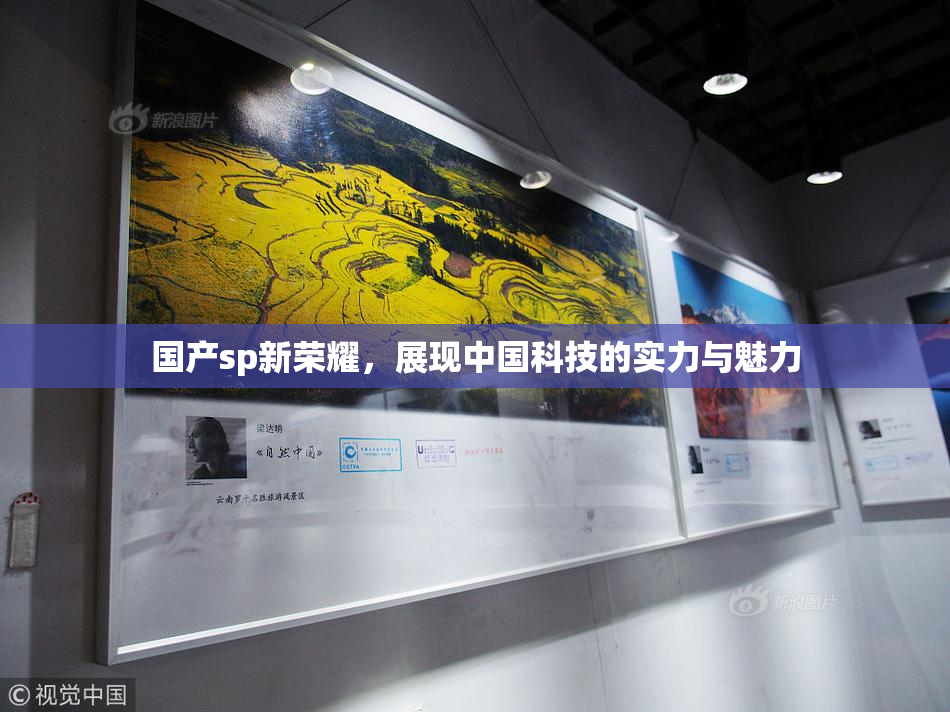 国产sp新荣耀，展现中国科技的实力与魅力