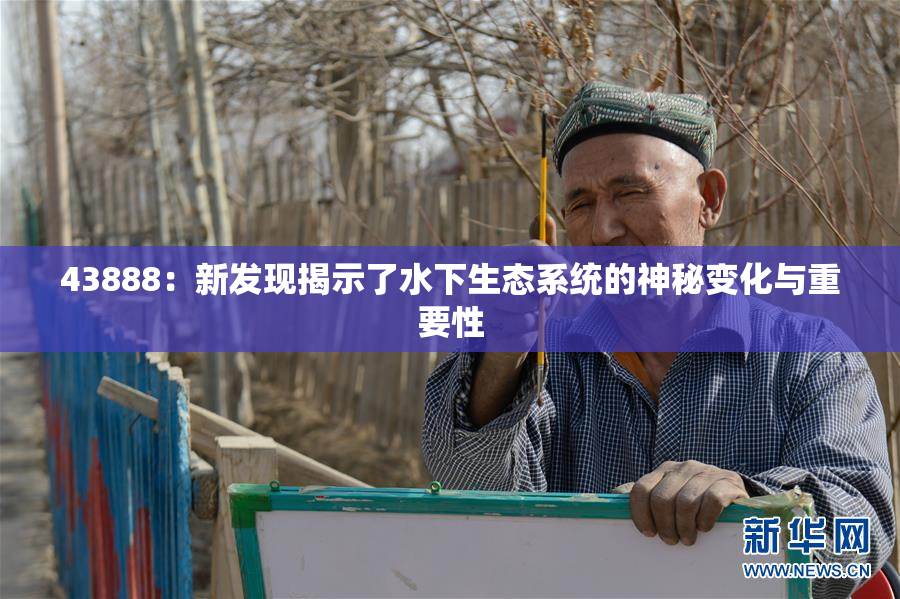 43888：新发现揭示了水下生态系统的神秘变化与重要性