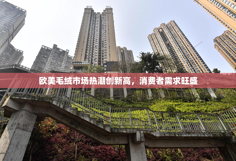欧美毛绒市场热潮创新高，消费者需求旺盛