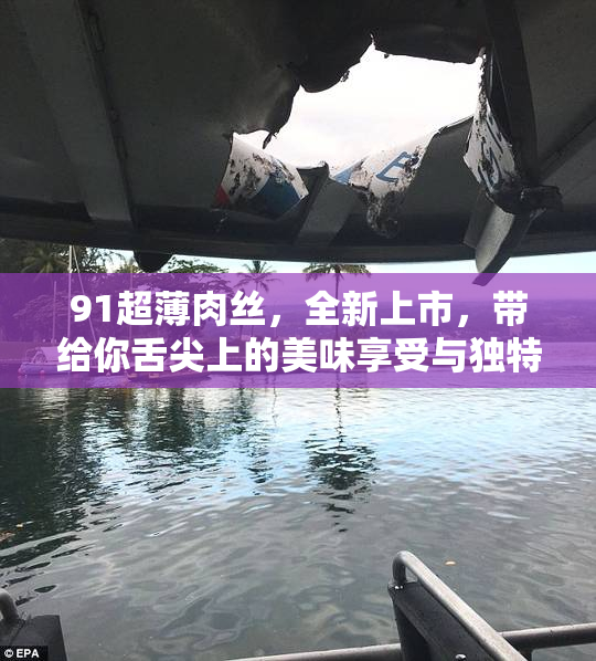 91超薄肉丝，全新上市，带给你舌尖上的美味享受与独特体验！