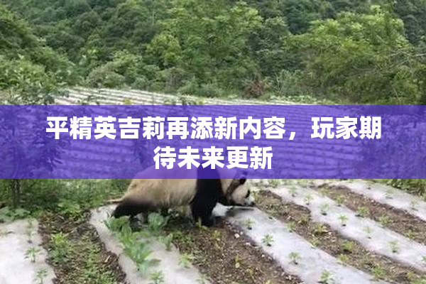 平精英吉莉再添新内容，玩家期待未来更新