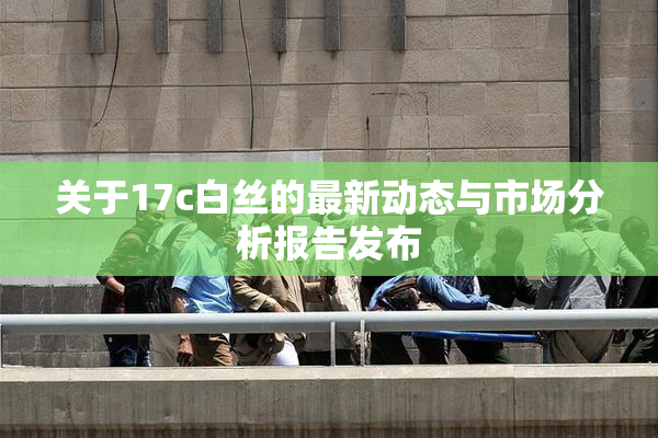 关于17c白丝的最新动态与市场分析报告发布