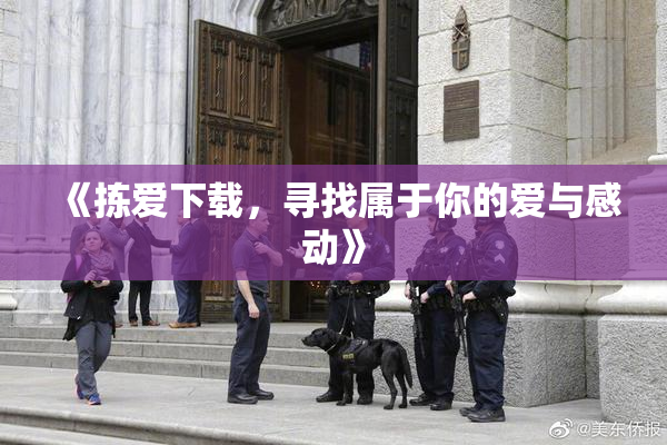 《拣爱下载，寻找属于你的爱与感动》