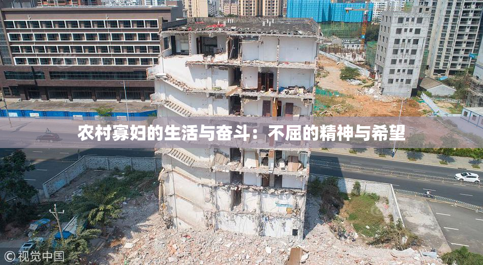 农村寡妇的生活与奋斗：不屈的精神与希望