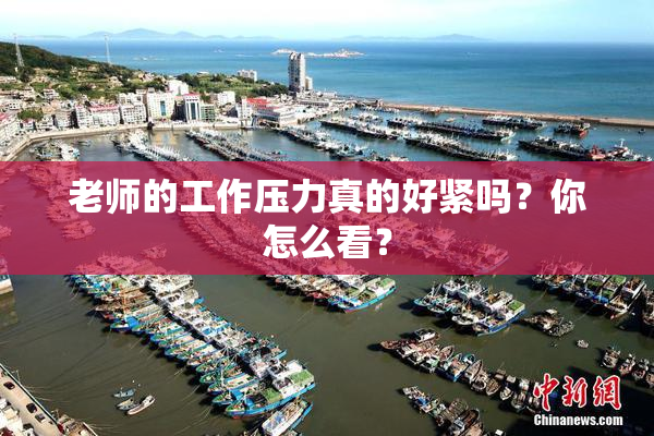 老师的工作压力真的好紧吗？你怎么看？