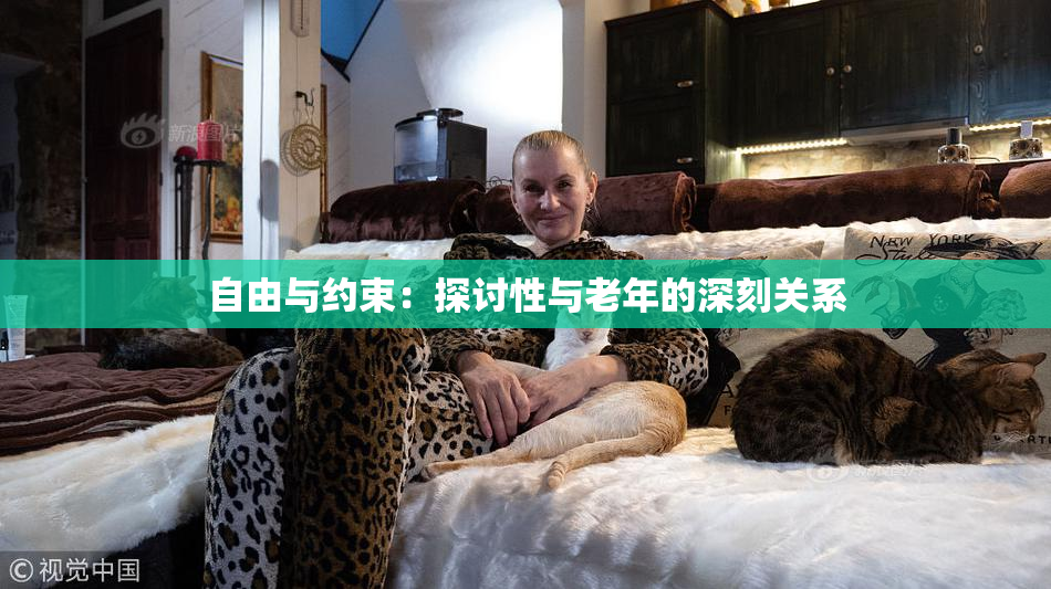自由与约束：探讨性与老年的深刻关系