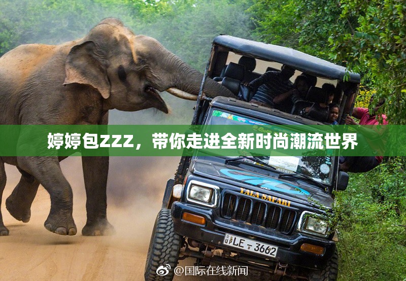 婷婷包ZZZ，带你走进全新时尚潮流世界