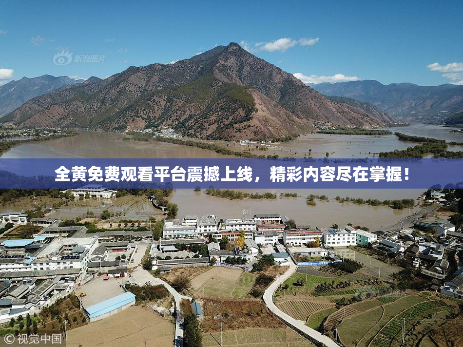 全黄免费观看平台震撼上线，精彩内容尽在掌握！