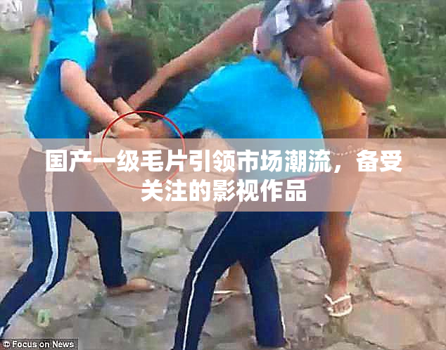 国产一级毛片引领市场潮流，备受关注的影视作品