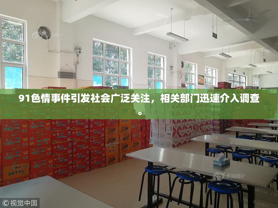 91色情事件引发社会广泛关注，相关部门迅速介入调查。