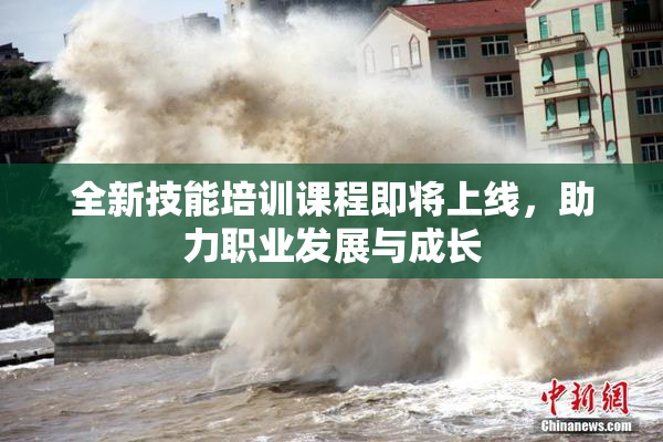全新技能培训课程即将上线，助力职业发展与成长