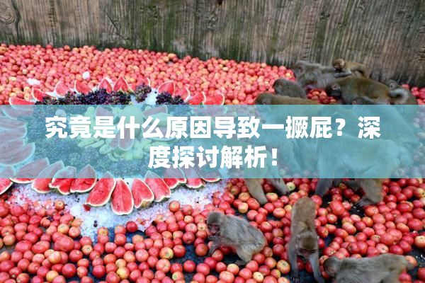 究竟是什么原因导致一撅屁？深度探讨解析！