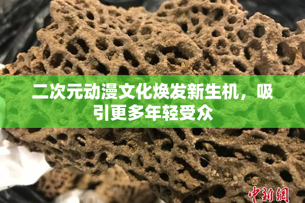 二次元动漫文化焕发新生机，吸引更多年轻受众