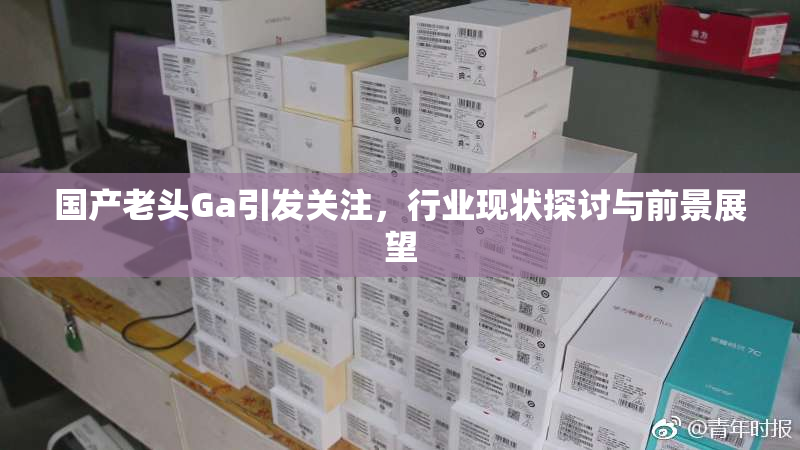 国产老头Ga引发关注，行业现状探讨与前景展望