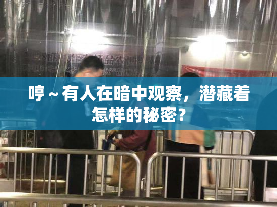 哼～有人在暗中观察，潜藏着怎样的秘密？