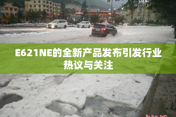 E621NE的全新产品发布引发行业热议与关注