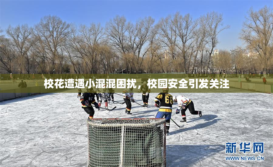 校花遭遇小混混困扰，校园安全引发关注