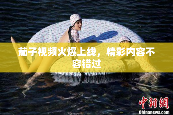 茄子视频火爆上线，精彩内容不容错过