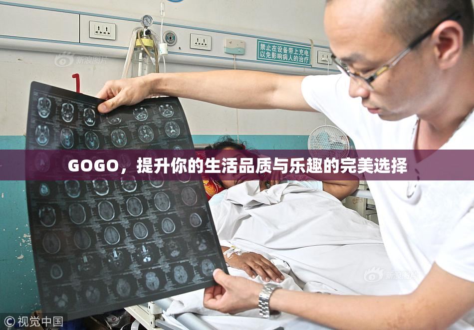GOGO，提升你的生活品质与乐趣的完美选择