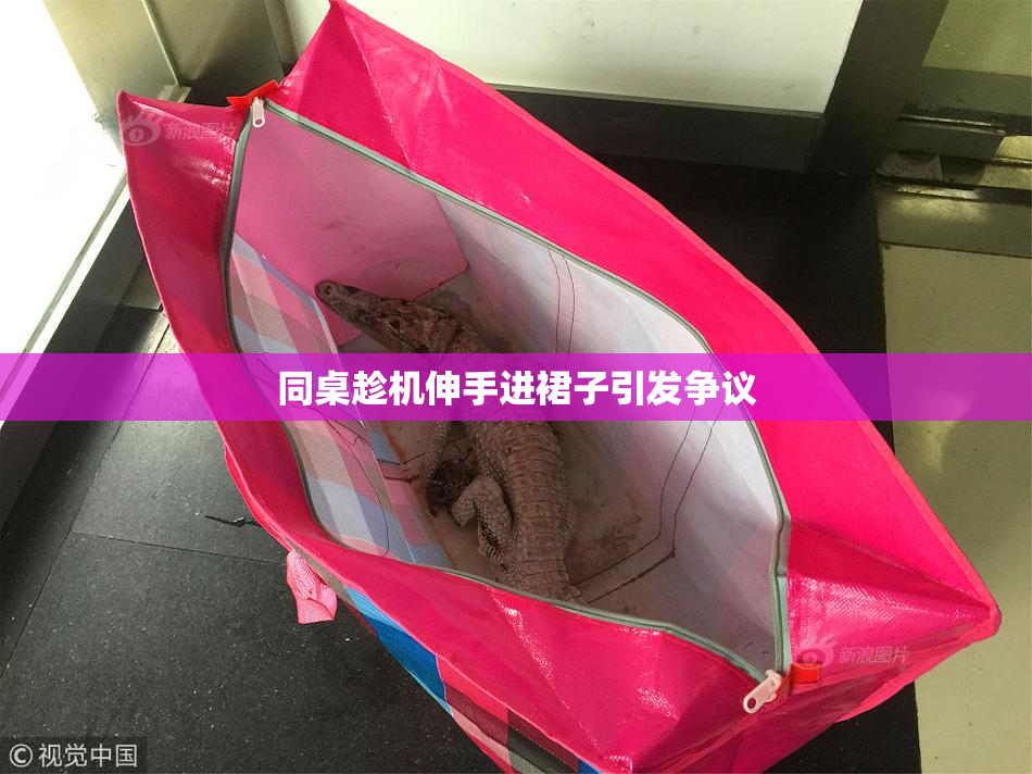 同桌趁机伸手进裙子引发争议