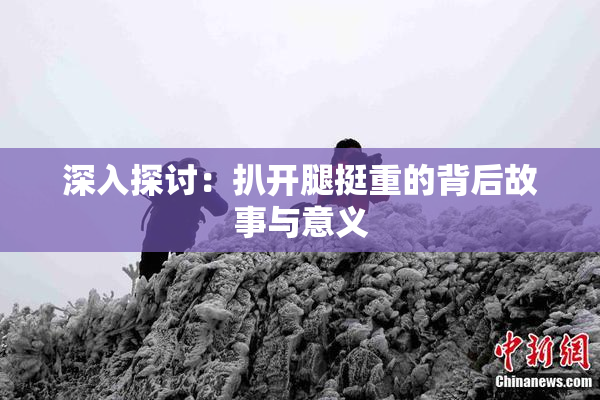 深入探讨：扒开腿挺重的背后故事与意义