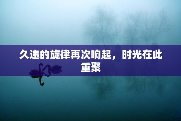 久违的旋律再次响起，时光在此重聚