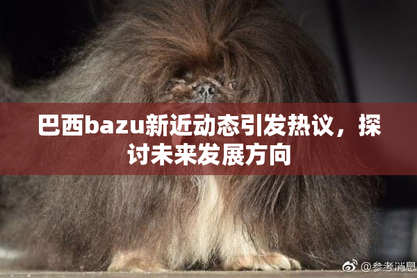 巴西bazu新近动态引发热议，探讨未来发展方向