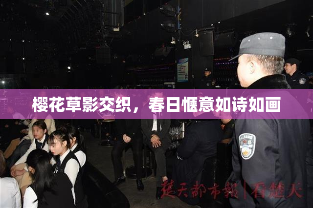 樱花草影交织，春日惬意如诗如画