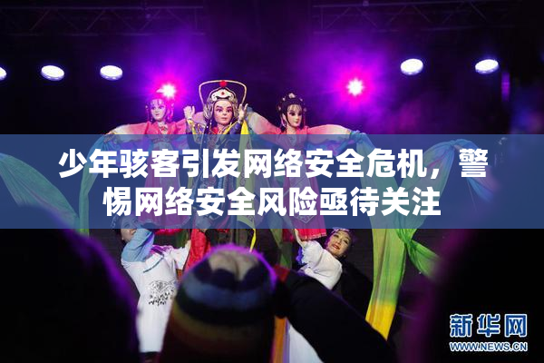 少年骇客引发网络安全危机，警惕网络安全风险亟待关注
