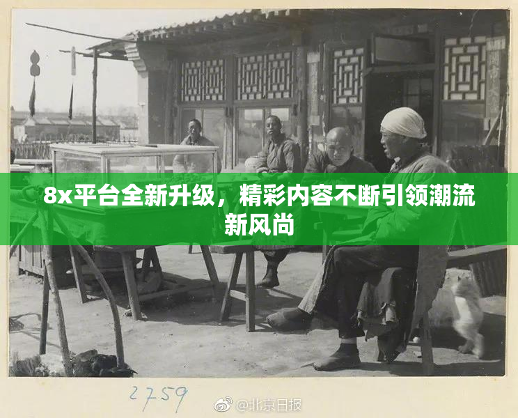 8x平台全新升级，精彩内容不断引领潮流新风尚