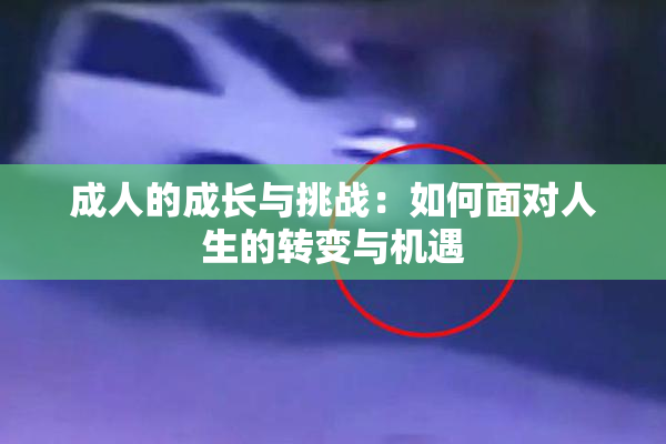 成人的成长与挑战：如何面对人生的转变与机遇