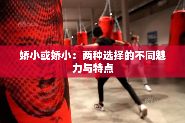 娇小或娇小：两种选择的不同魅力与特点