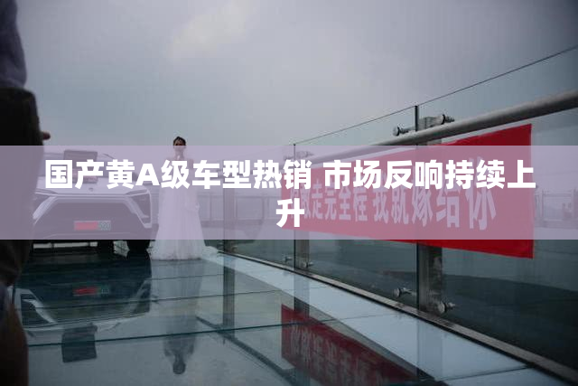 国产黄A级车型热销 市场反响持续上升