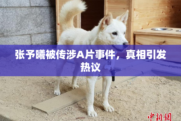 张予曦被传涉A片事件，真相引发热议
