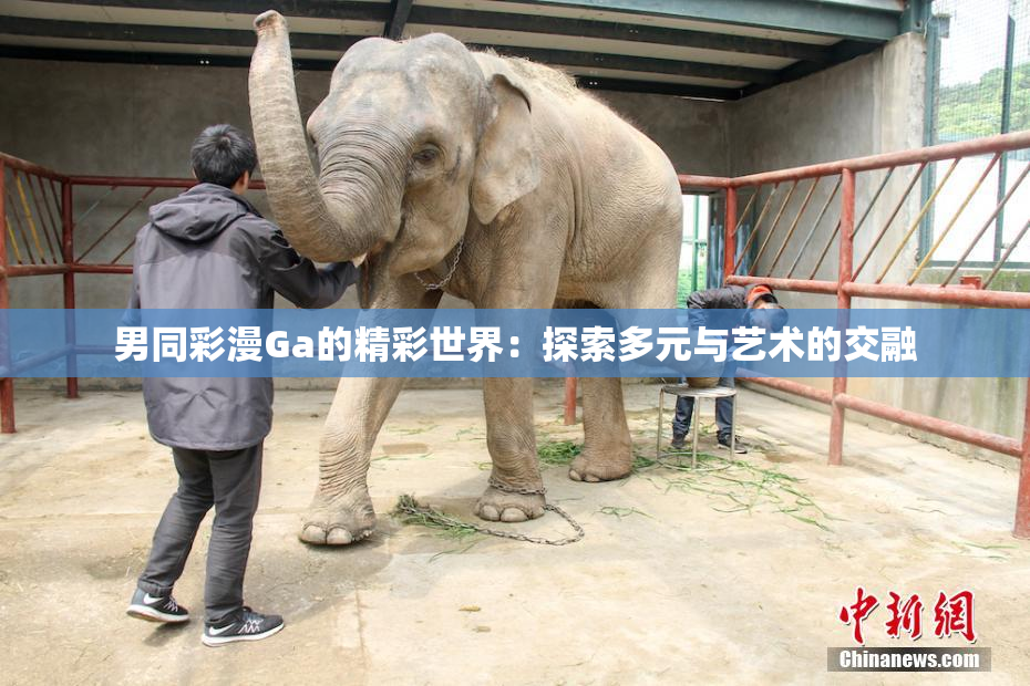 男同彩漫Ga的精彩世界：探索多元与艺术的交融