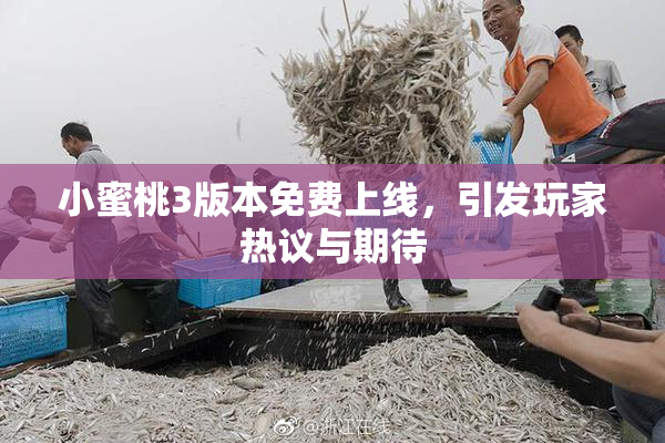 小蜜桃3版本免费上线，引发玩家热议与期待
