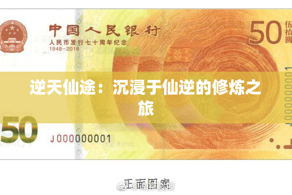逆天仙途：沉浸于仙逆的修炼之旅