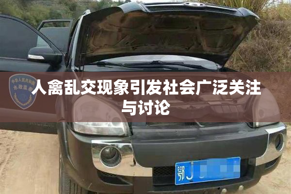 人禽乱交现象引发社会广泛关注与讨论