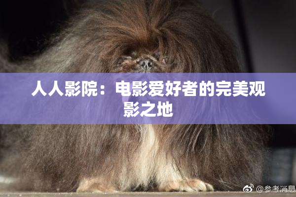 人人影院：电影爱好者的完美观影之地
