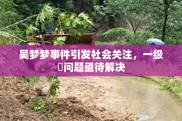 吴梦梦事件引发社会关注，一级婬问题亟待解决