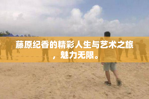 藤原纪香的精彩人生与艺术之旅，魅力无限。