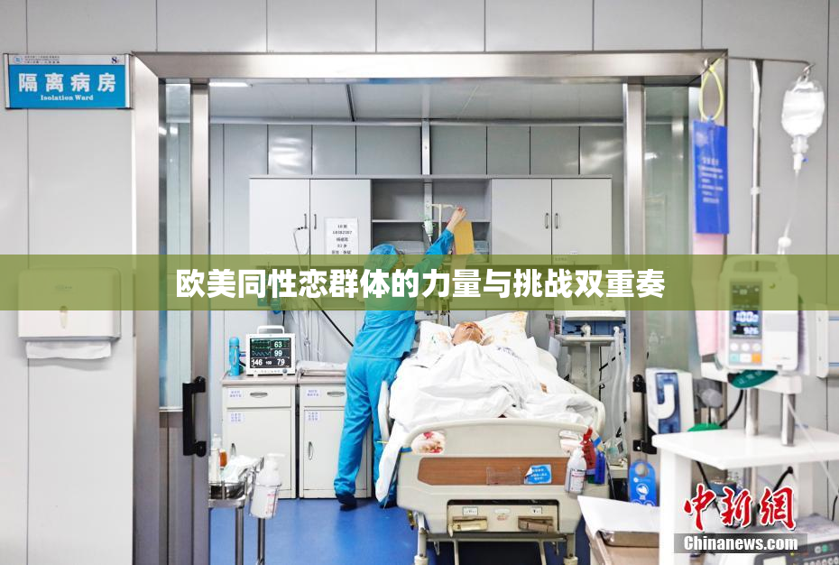 欧美同性恋群体的力量与挑战双重奏