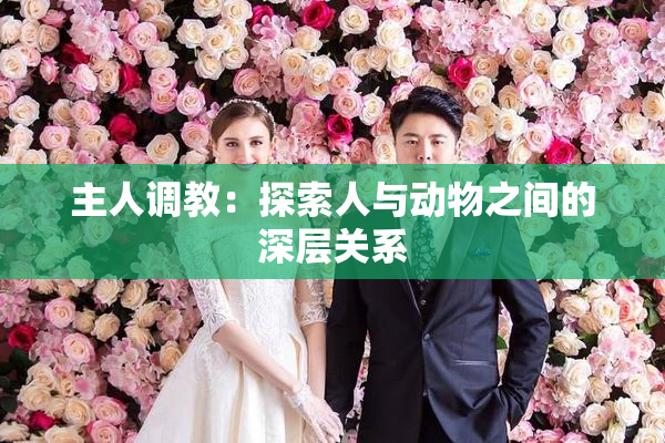 主人调教：探索人与动物之间的深层关系