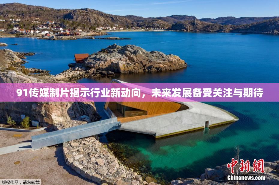 91传媒制片揭示行业新动向，未来发展备受关注与期待